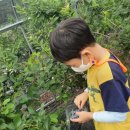 신솔정유치원 이미지