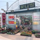 행복꽃농원 이미지