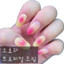 트로피칼드림 | 셀프네일💅_오호라 트로피컬 드림 🏖️🍑 내돈내산 후기