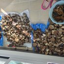 강림면352 이미지