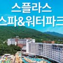 스플라스 리솜