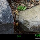 어사 박문수 테마길 이미지