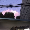 영진수산