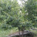 강산자연농장 이미지