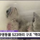 경북야생동물구조관리센터 이미지