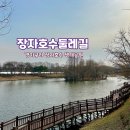 5월11일(일)구리한강유채꽃축제&amp;덕소삼패자작나무숲길.꽃 잔디.수레국화&amp;장자호수공원걷기+중식당리하맛집뒤풀이 이미지