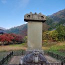 장흥청태전 영농조합법인 | 장흥여행 2일차[보림사][장흥우드랜드][장흥토요시장][탐진강]
