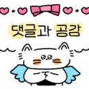 맥반석자동자판기