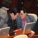 김영신의원 이미지