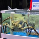 삼우상회 네이버블로그
