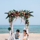 라잇플라워 이미지