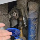 진례 | 김해 진례 수도배관공사 후기 믿음직한 ‘내외설비’와 함께한 계량기 교체 작업!