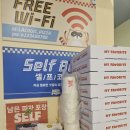 굴포천 R | [굴포천역맛집] 파스타와 피자 함께 라쿤피자 인천삼산점 솔직후기