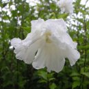 남원서원초등학교 이미지