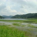 충남 연기군 조치원 복숭아축제 이미지