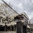 롯데몰 야외주차장 사거리 | 미아사거리 카페 추천 ‘브라운헤이븐’ 홀파이 케이크 디저트 포장 후기