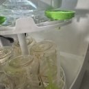 베이비 브레짜 젖병세척기 둘째맘이 추천하는 맘마존 필수템 내돈내산 한달사용후기