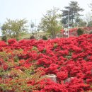 가야대학교 이미지