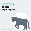 청평동물병원 네이버블로그