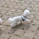 몰리스 놀이터/호텔 이미지