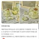 수선화하바리움 네이버블로그