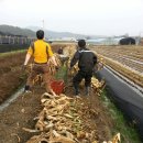 신우농장 이미지