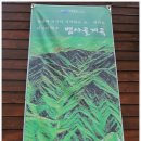 뱀사골야영장 이미지