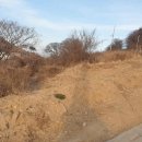 가덕공인중개사사무소 이미지