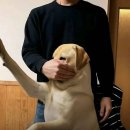 설빙(둔산점) | 띄어쓰기를하지않는이유는너를향한내마음이여백없이빽빽해서야