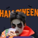 송이로14길 | 송파강아지분양 착한 애견분양비용 후기