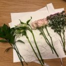 제명이 농장 이미지