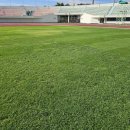 밀양종합운동장 이미지