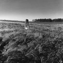 밤나무곡 이미지