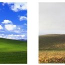 컴퓨터초보 이미지