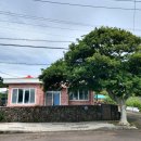 표선리-30 이미지