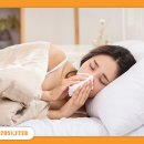 안코비어 이미지