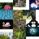 일본사쓰마센다이시문화협회.창녕문화원 문화교류 합동공연 | 창녕문화원, 사쓰마센다이시 협회 초청 방문