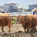 사암2리 이미지