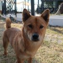 잇뽕사계 이미지