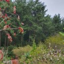 노을정원 이미지