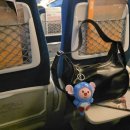 더스테이 남포 | 251024 부산(1) :: 톤쇼우 남포, 영도 메인, 소문난 돼지국밥 서면 본점 등등