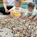 문화센터 후기 | 봄학기무럭무럭콩대장 콩놀이