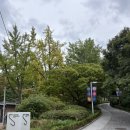 강령2호 | [중구] 강령[綱領]을 보고온 후기