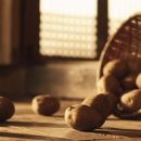 올레관광호텔 이미지