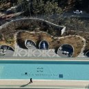 지에스(GS)25 강릉온누리점 | 국내 태교여행 호캉스 [신라모노그램 강릉] 다이닝M 조식 후기