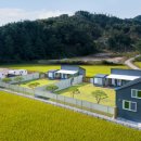 도기도기 이미지