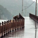 백암 1교 이미지