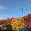 역돔횟집 이미지