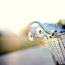 오늘하루가 이미지