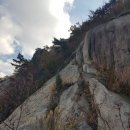 태양을향하여 | 노적봉 소나무길